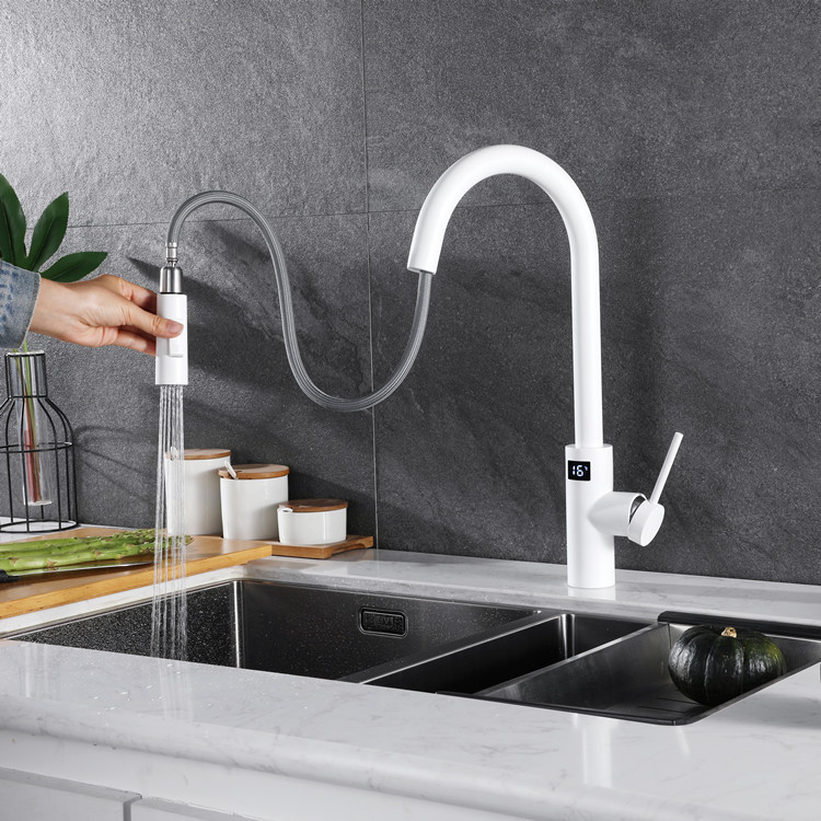 White Touch on Digital Kitchen – Kitchen Appliances White recenzja i cena